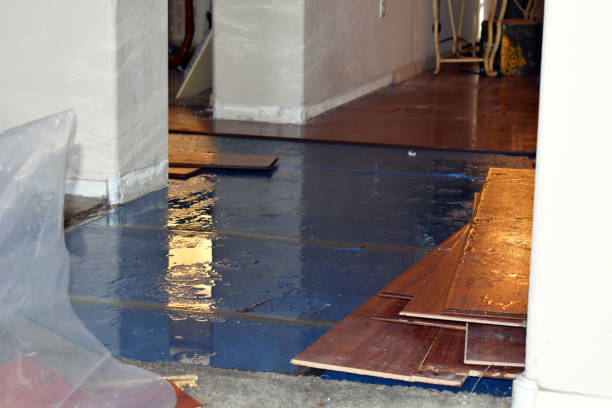 Professional Flood Damage Repair technician working in Tilden, TX